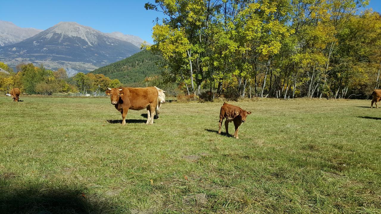 Gite De Boscodon Crots Exterior photo